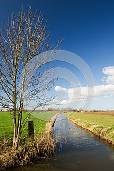 Dutch agriculture landscape