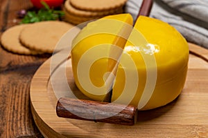 Dutch baby gouda cheese in yellow wax