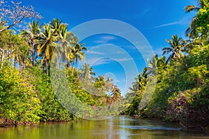 Dutch canal in Negombo.