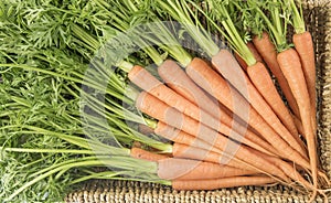 Dutch Carrots