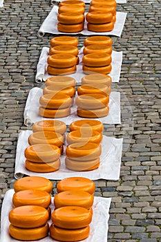 Dutch Cheese in Gouda