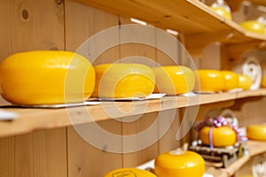 Dutch cheese on shelves. Amsterdam Holland. close-up