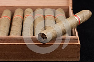 Dutch Cigars in a wooden box