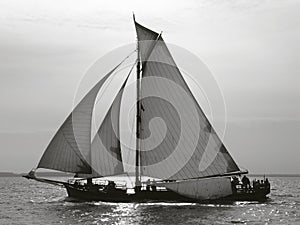 Dutch Clipper photo