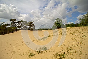 Dutch clouds in the sky and sand dunes with trees