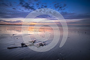 Dutch coast at dawn with a colorful sunset along the coast of the North Sea