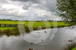 Dutch Countryside