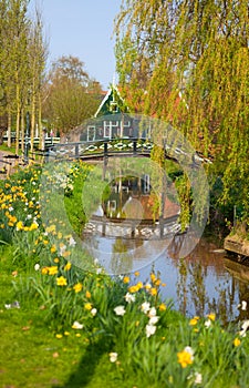 Dutch Countryside