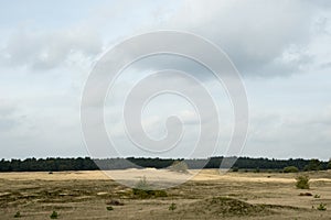 The Dutch desert Kootwijker Zand