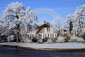 Dutch estate in winter