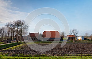 A Dutch farm in North-Brabant photo
