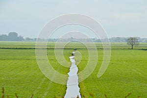 Dutch Farmland Around Weesp The Netherlands