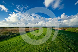 Dutch farmland landscape