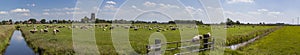 Dutch farmland panorama photo