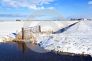 Dutch farmland in winter