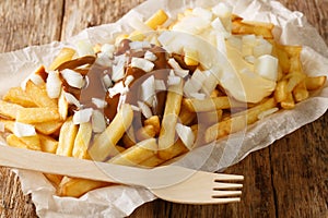 Dutch fast food Patatje oorlog French fries with sauces and fresh onions close-up in a plate. horizontal