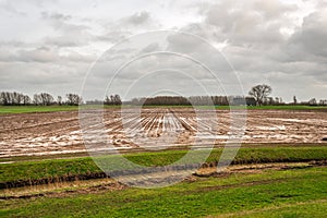 Dutch field after persistent rain