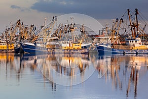 Dutch Fishery in Lauwersoog harbor