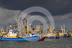 Dutch Fishing boats in Lauwersoog harbor