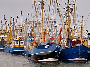 Dutch fishing fleet lauwersoog