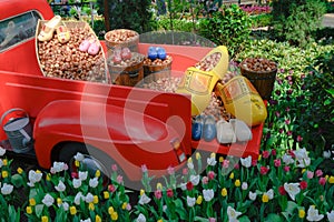 Dutch garden still life with lots of tulip bulbs and clogs on bed of red truck in flowerbed with flowering colorful tulips