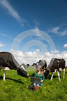 Dutch girl in field with cows photo
