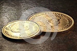 Dutch gold coins