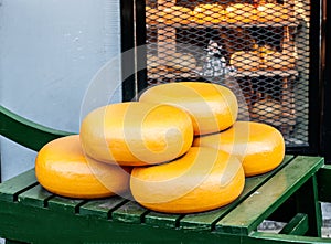 Dutch Gouda cheese