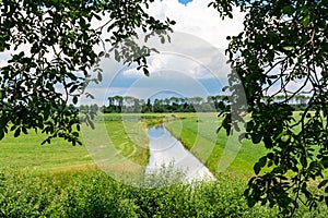 Dutch green landscape in summer in fruit region Betuwe, Gelderland