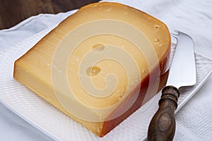 Dutch hard cow milk old cheese  from Gouda