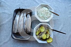 Dutch haring with onions and pickles