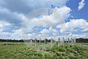 Dutch heath land with an ancient grave and dramatic clouds