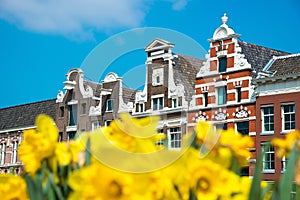 Dutch houses with yellow tulip flowers, Amsterdam, Netherlands.