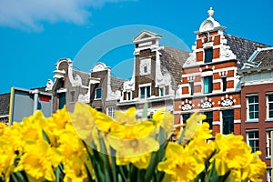 Dutch houses with yellow tulip flowers, Amsterdam, Netherlands