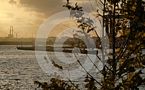 dutch industry behind nature in sunset in amsterdam