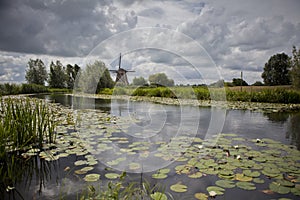 Dutch landscape