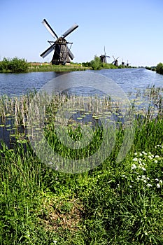Dutch landscape