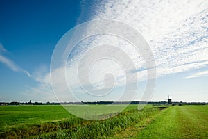 Dutch landscape