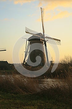 Dutch landscape