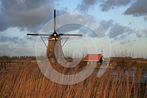 Dutch landscape