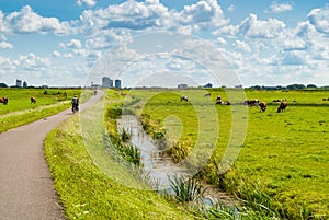 Dutch landscape with bicyclists
