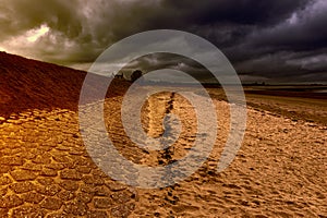 Dutch Landscape with Dike