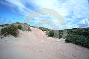 Dutch landscape dune