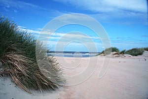 Dutch landscape, dune