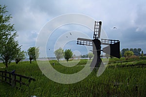 Windy day dutch landscape