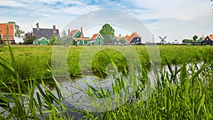 Dutch landscape with houses and vegetation