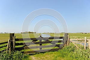 Dutch landscape in polder