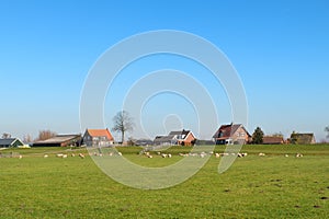 Dutch landscape polder Eemdijk photo