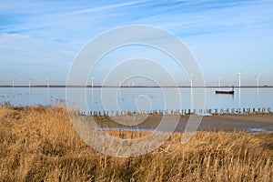 Dutch landscape polder Eemmeer