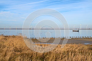 Dutch landscape polder Eemmeer photo